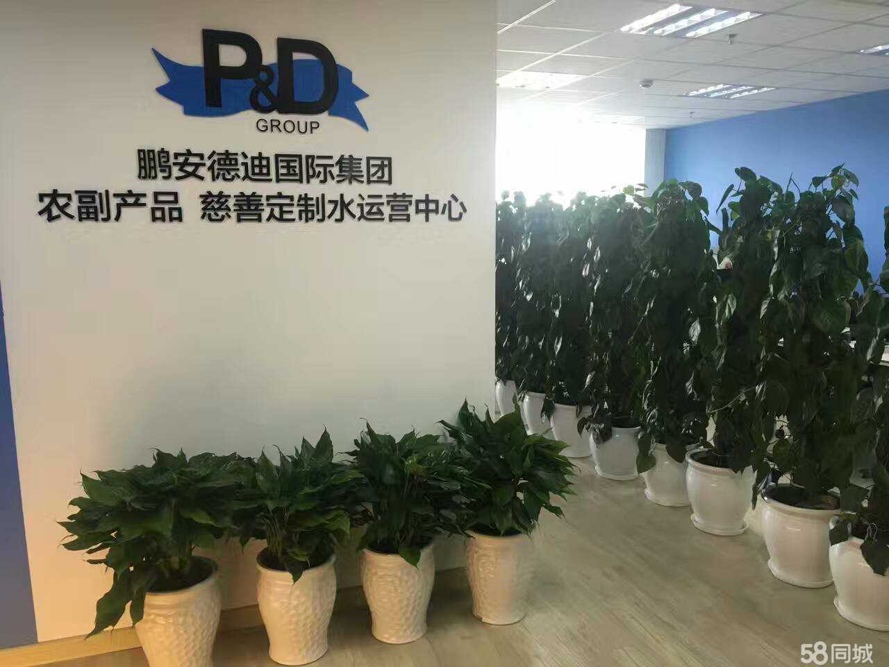 山東鵬安德迪商務(wù)咨詢 專業(yè)商務(wù)信息咨詢服務(wù)的領(lǐng)航者